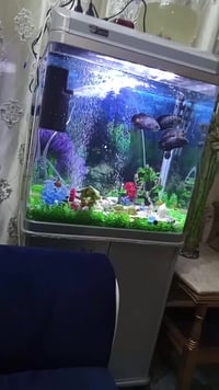 حوض للبيع العلوان بغداد حي القاهره  07734448508