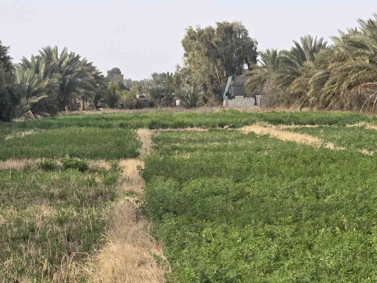 هذا إعلان مرتب وجاهز للنشر بصيغة أوضح وجذابة:
قطعة أرض للبيع
المساحة الكلية: ٥ دونم
🔹 البيع ممكن ٣ دونم أو كامل المساحة
🔹 سند العقار: ٢٥ زراعي
🔹 متوفر كافة الخدمات
📍 الموقع: الصياحية – الحلة، قرب كوين بارك
📞 للاستفسار: ***********٠
