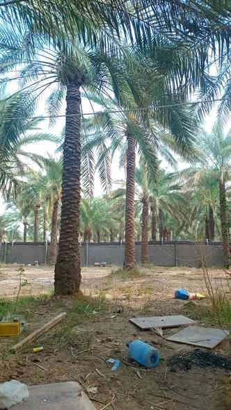 دونم ركن على شارعين مدخلين الها المدخل الأول من جزيرة بغداد السياحية المدخل الثاني من مركز ناحيه الراشدية واجه 72 نزال 35 طابو زراعي سند 25 تحويل مباشر 
كامل خدمات من كل النواحي كهرباء ماء اسله وماء سقي 
العنوان بغداد الراشدية حي المهندسين قرب دائرة ماء الدباقيه 
***********
***********
