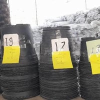 سندادنة ورقية • حجم 12 • حجم 17