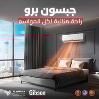 سبلت جبسون برو • موسمين • الديوانيه حي العسكري