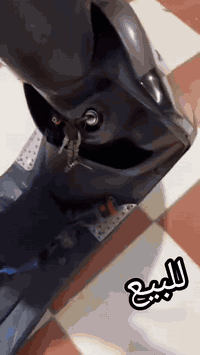 سلام عليكم شباب ماكس عدله البيع دراجه شغاله من طول الطول مابيهه شاير سلف هورن سعر650 
وبيهه مجال رقم ***********
