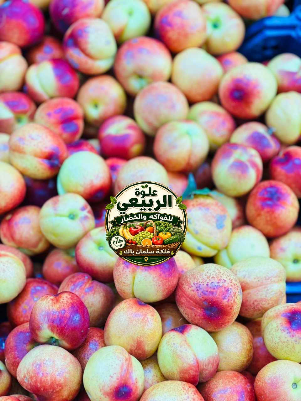 🌿✨ علوة الربيعي للفواكه والخضروات ✨🌿
الاسعار كل يوم تختلف والاستفسار ع قائمه الاسعار راسلو واتساب 
📢 عروض يومية — تابعونا يوم بيومه حتى ما يفوتكم الجديد

🧀 متوفر يوميًا:
جبن عرب 🧀
قيمر عرب 🥛
لبن عرب 🥛
زبد عرب 🧈
دهن حر أصلي 🐄
عسل نحل طبيعي مع خلايا 🐝🍯

🥛 الروبة بأنواعها:
عرب – بقر – جاموس – غنم

🍎 فواكه طازجة يوميًا
🥬 خضار طازجة ومتنوعة
🥒 مخللات (طرشي) بأنواعها
🌴 تمور فاخرة
🫒 خل وزيت زيتون أصلي
🍞 خبز طازج يوميًا
🍰 حلويات + كيك بارد

⏰ أوقات العمل:
من 7 صباحًا إلى 3 فجرًا

📍 الموقع: طريق الجرف / فلكة سلمان باك
📞 للاستفسار: ***********

❌ لا يتوفر توصيل ❌

🎱 تيك توك: 1997ahseen

🔥 الجودة أولاً... والطعم يثبت 🔥
