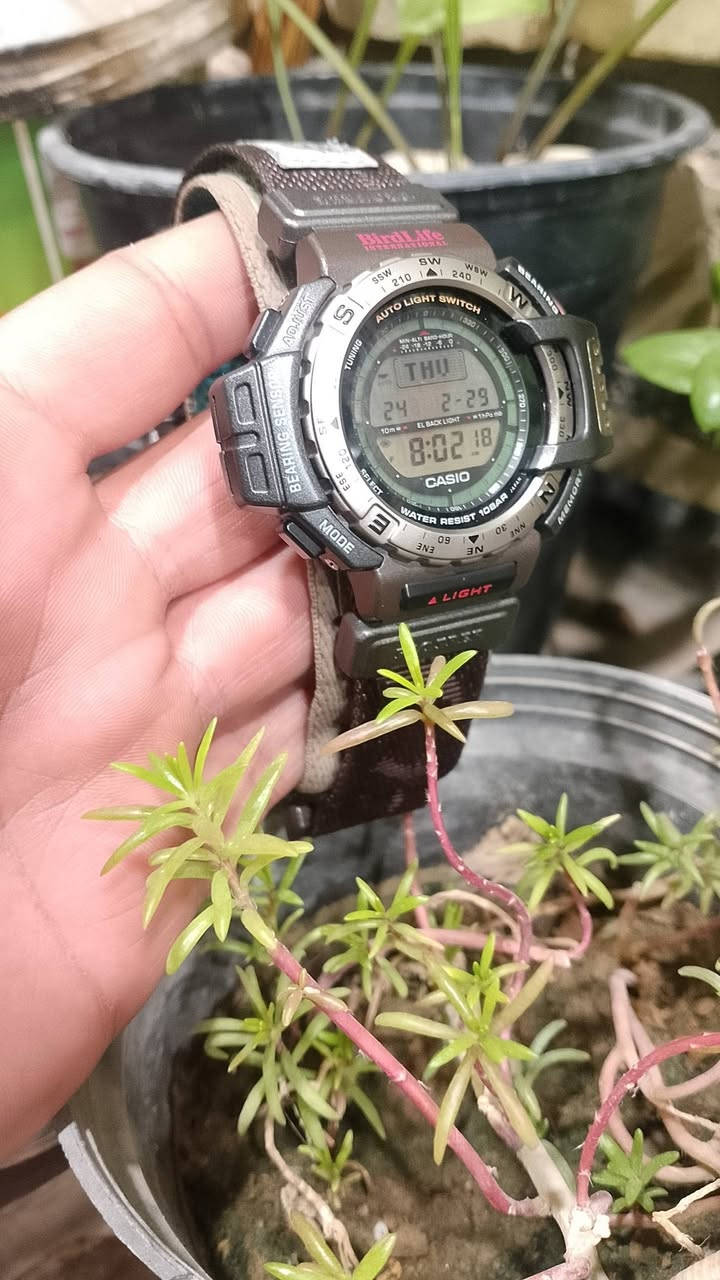 Casio Pro Trek PRT-40  
كاسيو بروتريك اصدار خاص ومحدود انتاج اليابان 1996
 بالتعاون مع منظمة BirdLife International (الحياة البرية). تتميز هذه الساعة الكلاسيكية، التي تعود لفترة التسعينيات، بكونها مخصصة للأنشطة الخارجية والاحترافية بفضل تزويدها بـ "المستشعر الثلاثي" (Triple Sensor). 
أهم المواصفات والميزات:
المستشعر الثلاثي: يتضمن بوصلة إلكترونية (Digital Compass)، ومقياساً للضغط الجوي (Barometer) مع مقياس للارتفاع (Altimeter)، ومستشعراً لدرجة الحرارة (Thermometer).
التصميم والإصدار: تحمل شعار "BirdLife" فوق الشاشة ومطبوعاً على الحزام، وهو إصدار نادر لهواة الجمع.
مقاومة الماء: تتمتع بمقاومة للماء حتى عمق 100 متر (10 BAR).
وظائف إضافية: تشمل إضاءة خلفية تلقائية (Auto Light Switch)، وخمسة منبهات يومية، وتقويماً كاملاً، وتنسيق وقت 12/24 ساعة.
التصميم والمواد: تأتي الساعة بهيكل من الراتينج/البلاستيك والفولاذ المقاوم للصدأ، وشكل دائري، وشاشة عرض رقمية. 
تتميز بحافة قابلة للدوران باتجاهين تستخدم كبوصلة لتحديد الاتجاهات
نظافة تامة


**إذا كنت صاحب هذا الإعلان وتريد حذفه لأي سبب، رجاءا أرسل رسالة إلى الدعم الفني**