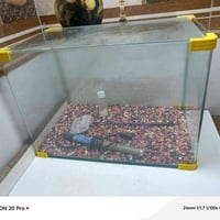 حوض للبيع قياس الحوض   50 سم الطول  30 سم عرض  35 سم الارتفاع مكاني ال...