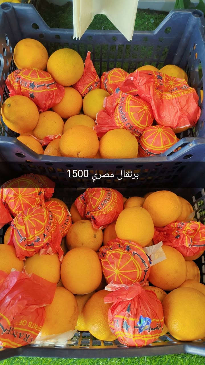 كميات خير من الله لحك الاسعار بالفديو مع علوة الفرات لاتحتار وفرنالكم فواكه ومخضر درجة اولى  وبأنسب الاسعار تاريخ 23/6/2026 جملة او كيلوات تجهيز مطاعم ايضا باسعار الجملة 
علوة الفرات مدخل الفرات حسينية المصطفى 
حياكم الله تشرفونا 
للاستفسار ***********
الدوام من 6 صباحا الى 10 ليلا

اسعار اليوم قسم  الخضار ؟

خيار  مائي 500 دينار
خيار طعروزي.     3 كيلوات 2000 دينار
بيتنجان اسود عراقي     500 دينار 
بصل 3 كيلوات      2000 دينار
بتيتة 3 كيلوات.     2000 دينار
طماطة 5 كيلوات.   2000 دينار 
لهانة   750 
قرنابيط      1000 دينار 
فلفل حار 1000 دينار 
شجر ناعم 1000 دينار 
بانية بترة 2500 
لوبية 2000 
فاصولية خضرة 2500
فطر 1500
ثوم 3000 دينار 
جزر 1000 دينار

اسعار قسم الفواكه 
تفاح 1000
عرموط 1000
الو احمر عراقي 2000 دينار 
برتقال مصري 1500
خوخ 1500
عنب 1500
موز 1500 
مشمش 2500
كرز 3500
فرولة 2000 دينار 

ليمون 2500 
بطيخ درجى اولى عراقي دبل 750 حكه 2500 
ركي 600 عل سجين وعل ذوق

قسم المخللات 
خل درجى اولى 1000 دينار
بطل ليمون 1500
طرشي بيتي نص كيلو 2000 دينار
طرشي بيتي خيار ربع كيلو 1000 دينار
طرشي معمل علب اصفر او اسود او وشونذر 1500

اخوان مخضر وفواكه جاي نوفرها درجى اولى شوفت عينك
اول بأول
