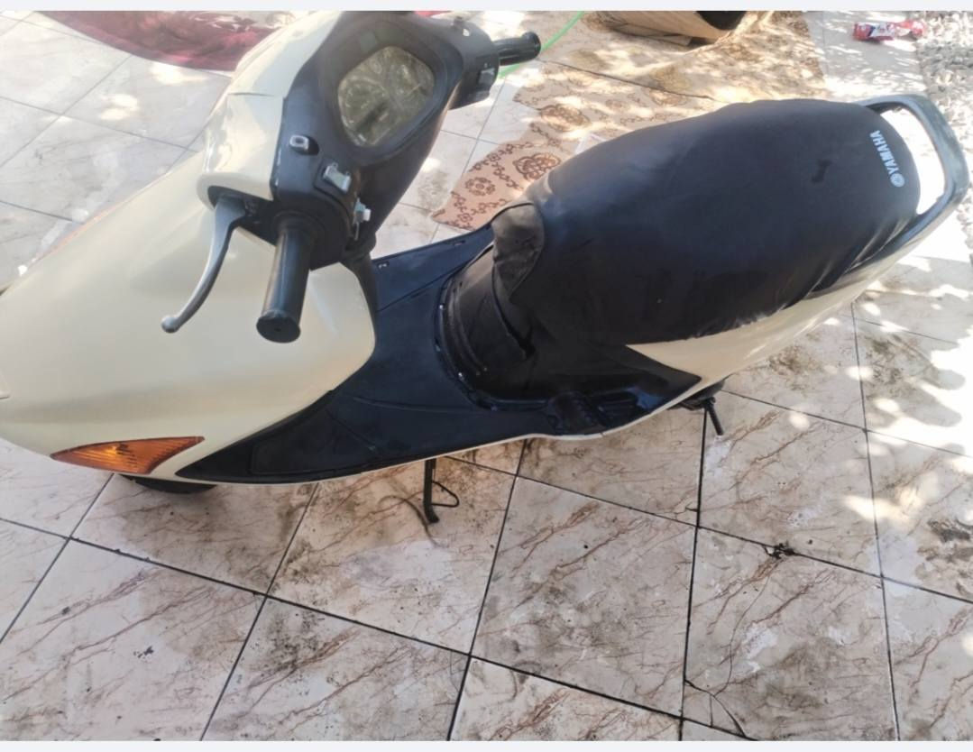 فراشه فحله البيع كفرات  بلاديه حلوه نضيفا  سعر٢٥٠ مكان بابل هاشميه ***********
