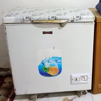 مجمدة • للبيع