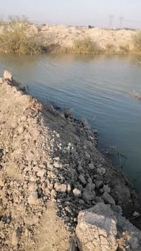 كرمت على الخيط بين السدتين • ١ دونم • للبيع