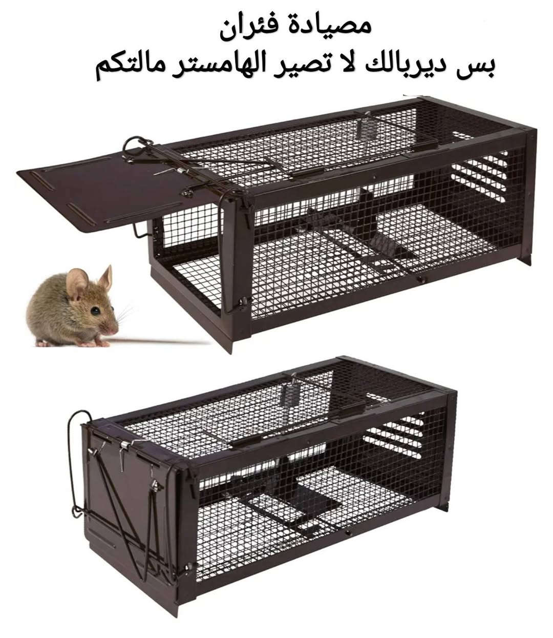 كل القطع شرط الفحص


**إذا كنت صاحب هذا الإعلان وتريد حذفه لأي سبب، رجاءا أرسل رسالة إلى الدعم الفني**