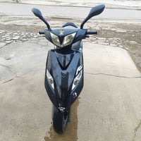 ماكس ثعلب جديده  مكفوله من كلشي مكاني الحريه  07746139888