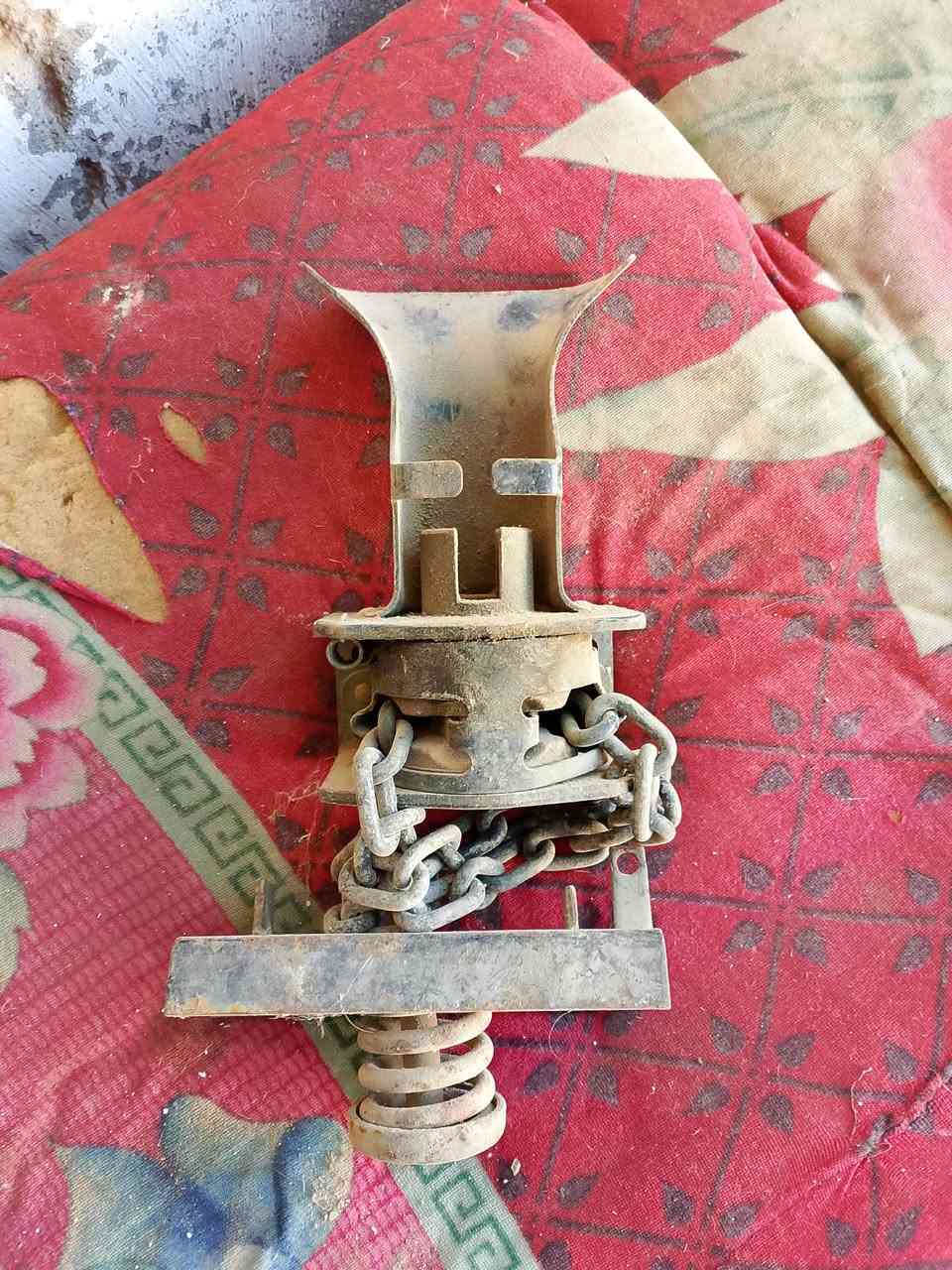 سلام عليكم من رخصت الادمن
يوجد بيبان لاندكروز من موديل 82 الى موديل 89 وأيضآ يوجدبكرات مال اسبير مال لاندكروز العنوان ديالى بلدروز 
***********
