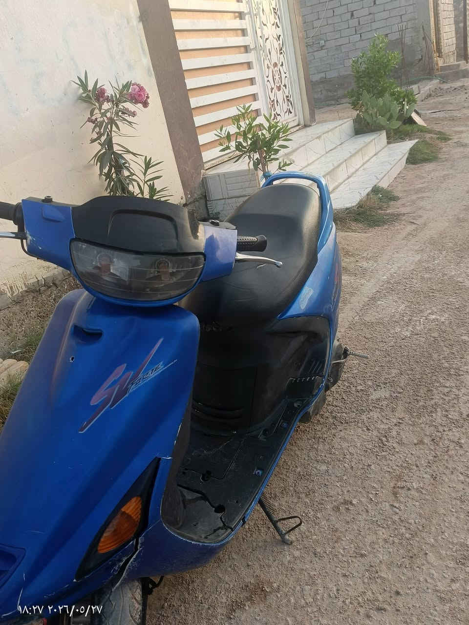 فراشة ازرق اللون للبيع للتواصل *********** واتساب

