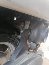 مراوس • بيجي • بطه