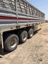 عربانة شاصي • ١٦ حدادي • مكفول
