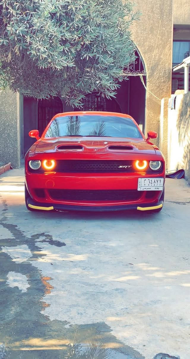 جالنجر 2016 v6 فول عدا الفتحه
ماشيه 87 mi
كشن تدفئه وتبريد
هيتر ستيرن
ستيرن كهرباء
هيتر مري
كشن كهرباء
سستم صوت الباين
شاشه جبيره
دگمه سبورت
مرايه كهرباء
تاير تو سايز
ويل ٢٠ اصلي نجمه
شفقه خلفيه
سبايدر
دعاميه اس ار تي
بنيد ريد اي
تبريد قطعتين
صدر جديد - تايرات جديدة - فريز + تدفئة جديدة مابيها اي نقص
مسويلها ادامه كامله
السياره لا برمجه ولا شي ستوك من الشركه ولا داخله تفحيط ولا متعوبه نظيفه ومعتني بيها
رقم بغداد مشروع وطني السياره بأسمي
مابيها صبغ بس البنيد والدعاميه
السعر 15500$ 
مكاني بغداد حي الخضراء او حي حطين
***********
