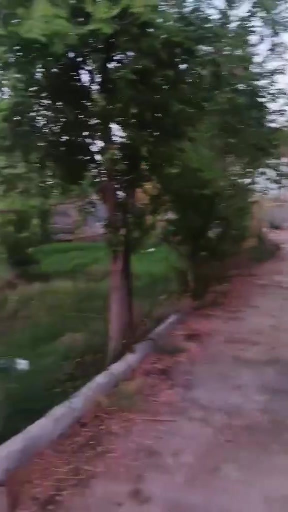مزرعه للبيع المكان بابل الحله قرب سيطرة الاثار شارع برنون قريبه على الشط الشراي يتفضل *********** خاص طابو زراعي سند 25
