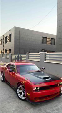 بنيد جالنجر اسود تجاري للبيع بدون صبغ مكاني بغداد حي الحسين  077034878...