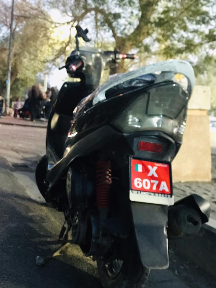 سلام عليكم دراجه ماكس عدله للبيع وذا مراوس بسكنس جبلي اروس حتلو اطي فرق بس كون مو نطيحه دراجتي 55 شلعه ومعدل تخبل دراجه اروح بيه من الجسر ديالى لل زعفرانيه ورجع بعد ماطلع او عله ايدي مداريه بيه فقط نقص دكمه مال اشاير يمنه يسره او دسك بريك ماشده الامامي اطيك ياه شده انته عنواني جسر ديالى القديم سعره 650 او بيه مجال للاستفسار هذه رقمي ***********
