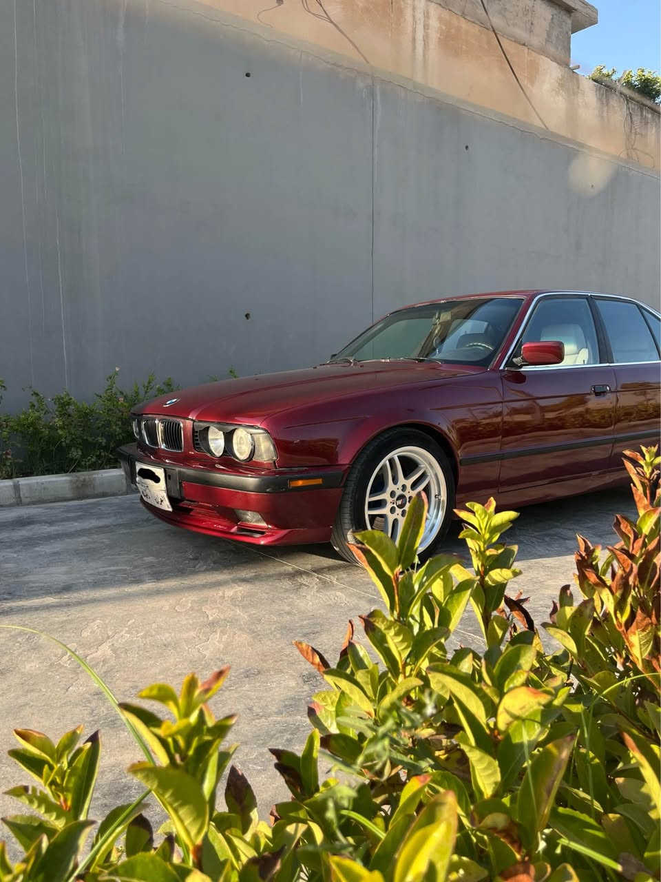 BMW 525i
گير تو ماتيك. 
تبريد  سه ر سويچي
گير مه كينه شه رتن 
مه كينه كه بسه 
موديل 92 
عام بخ بو جاني 
سعر 68 وه ره قه و مجال و غرامه 10وه ره قه دي سعري ين خاري 
***********📞📞📞 زاخو, دهوك
