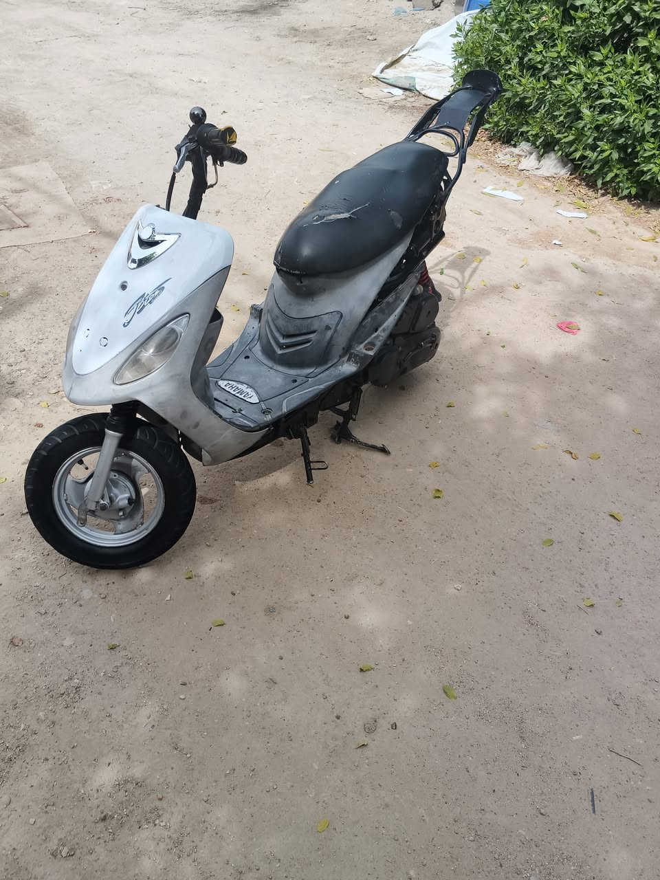 للبيع ماكس منغولي 50 مفتوحه سعر400 وبيه مجال


**إذا كنت صاحب هذا الإعلان وتريد حذفه لأي سبب، رجاءا أرسل رسالة إلى الدعم الفني**