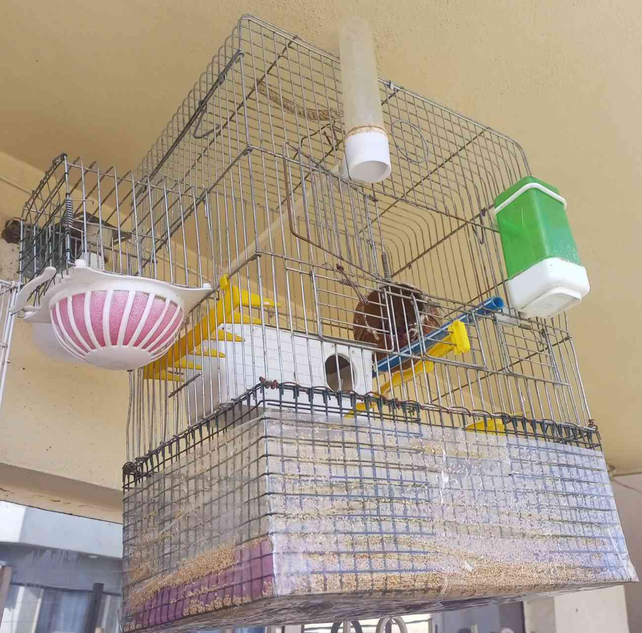 السلام عليكم/عيد مبارك
بسبب ضروف المشتري تم اعادة النشور
متاح للبيع اقفاص عدد 3 
ومصايد بلبل تمر عدد 2
التفاصيل على الخاص او على الواتسأب
***********
***********
