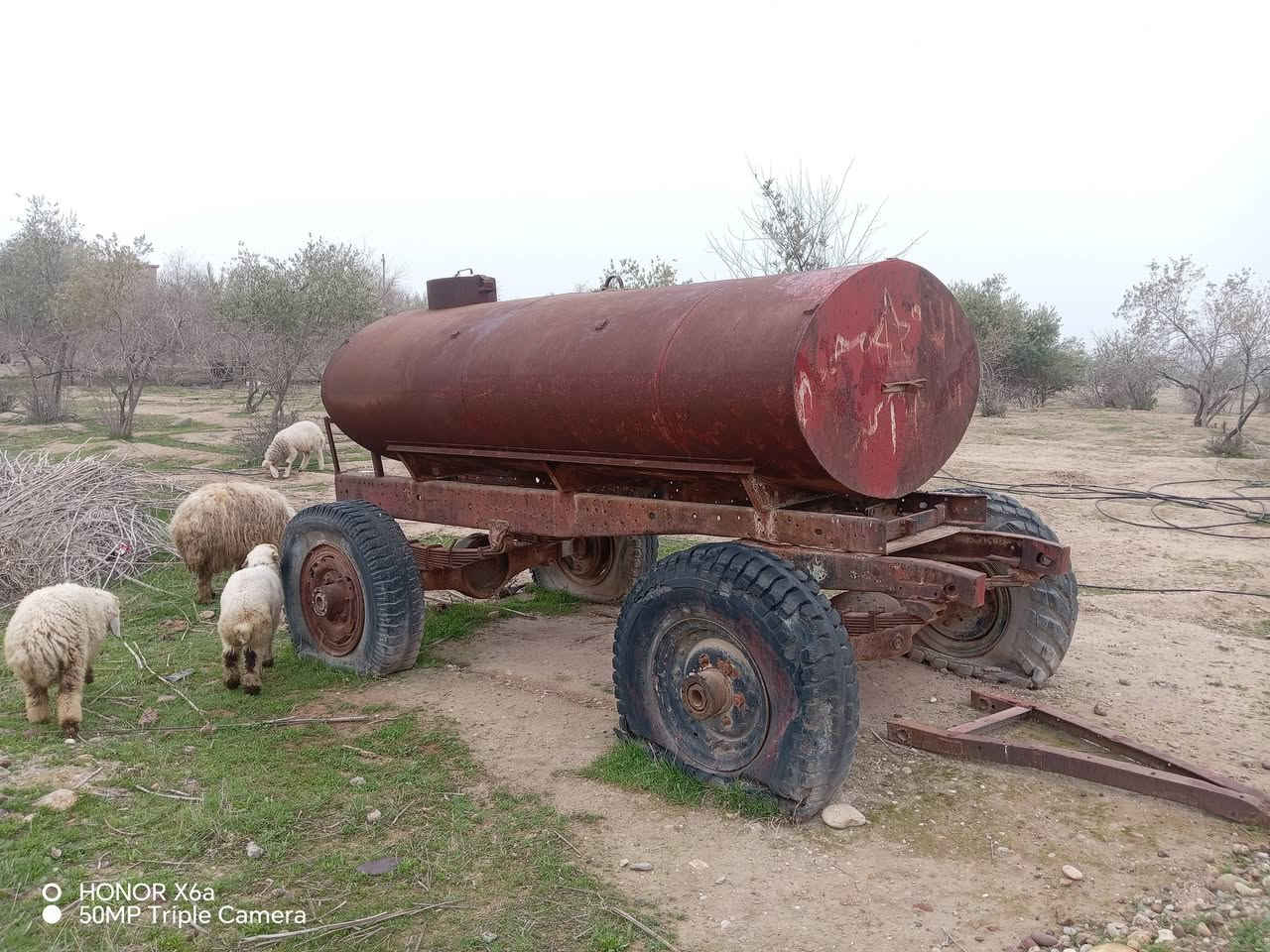 يوجد مقطورة وگراضة وحاصودة وعربانتين للبيع الاستفسار اتصل على هاذا الرقم  ***********
