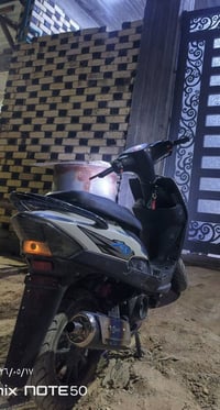ماكس عدلة • نجف • مجال
