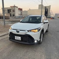 فرنتلاندر • ٢٠٢٤ • فول