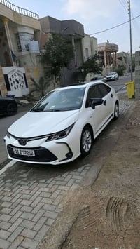 كورلا • ٢٠٢٤ • مقترض وكفيل