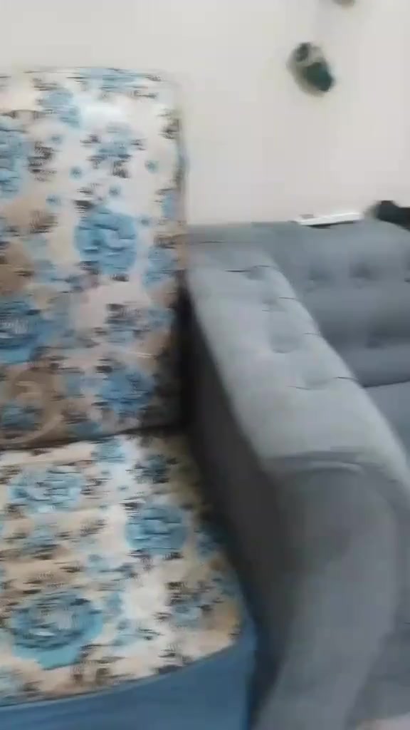 شاشه. حجم 50السعر 150تخم 5مقاعد +كراسي 2السعر 100مكانهم الكريعات


**إذا كنت صاحب هذا الإعلان وتريد حذفه لأي سبب، رجاءا أرسل رسالة إلى الدعم الفني**