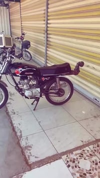 ثعلب • سكنس • نضيفة