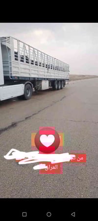 عربانه تخم تاير • الرمادي