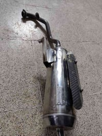 بوشة سكنس • ثعلب • مكاني الشعله