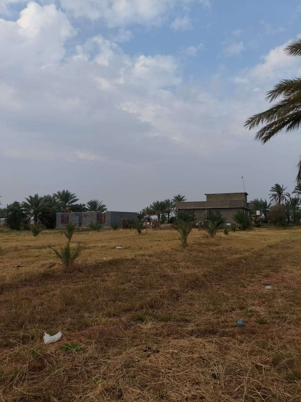 قطعة ارض #للبيع  
طابوو زراعي سند 25 تحويل
مع بيتين الاول حديث والآخر بناء قديم
المساحة 6 دونم ونصف
الموقع /بابل/مشروع المسيب/منطقة البدعه
قرب مدرسة المآثر الابتدائية 
كامل الخدمات ماء كهرباء وشارع للأرض 
السعر// 225 وبي مجال 

للأستفسار الاتصال على:
***********
او واتساب 
***********
