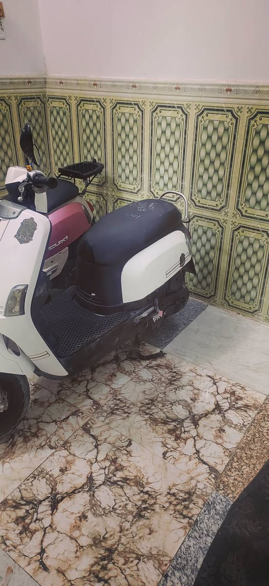 السلام عليكم دراجات نضاف جاهزات فول نضافه ٤٩بلاد
ماكس بوليسي ننوزل ٦٥٠
ماكس بوليسي ٦٥٠
العنوان تضحيه شارع العياده
***********
