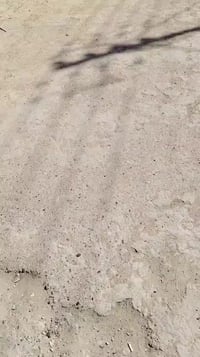 بيت للبيع في حي الرأسه كاع ابو علي الدراجي اول فرع  مساحه 100م قاطين  ...