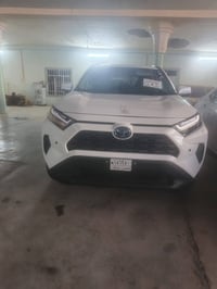 راف فور هايبرد • ٢٠٢٤ • بدون صبغ