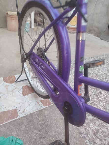 شباب بيسكل البيع موديل25 بيسكل نضيف مدكره الكدامه ضيع سعر البيسكل قفل قفل قفل ب75لحد يدخلي ابو 70او غيره ما ابيع بغير اضه سعر مكاني حي المعلمين القديم واستاب متواجد 0772 161 7944
