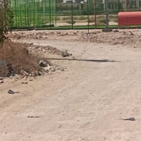 بلجغيفي الثانية • ٢٥٠م • طابو صرف