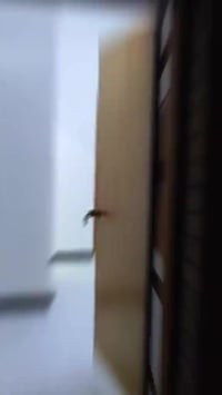 العامرية شارع المضيف • ٢٤٠م • طابق ارضي مستقل