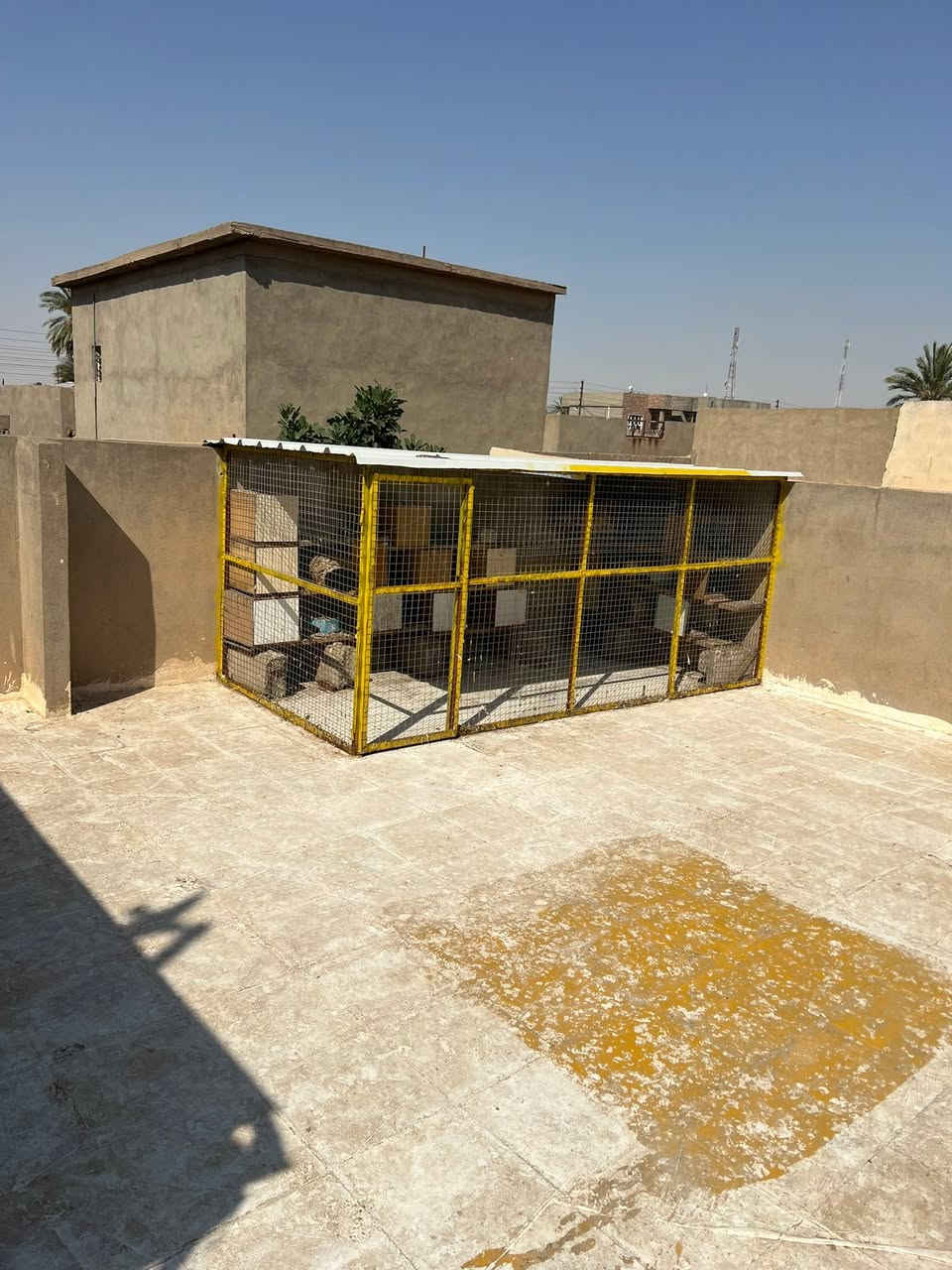 سلام عليكم قفاص للبيع مكاني كياره باقي تفاصيل اتصل وتدلل رقمي ***********
