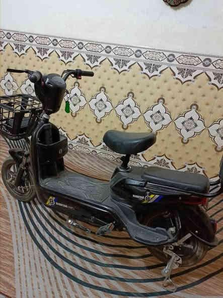 السلام عليكم
بيسكل شحن نضافة شوفة عينك جديد بي ضعف ب بطاريات السعر150وبي مجال حك الجيه عنوان كربلاء  رقم ***********
