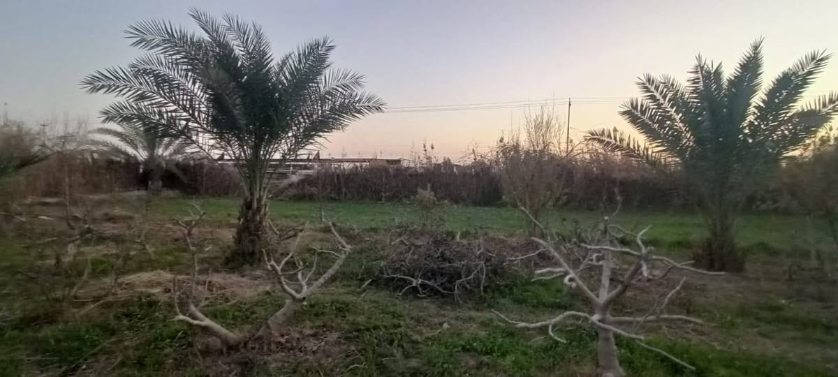 سلام عليكم من رخصت ابو الكروب مزرعة اللبيع مساحة دونمين طابو بستنة سند مستقل بسم شخص واحد تحتوي على نخل برحي وتين وحمضيات خدمات كاملة كهرباء وماء اسألة وماء سقي العنوان طريق السنية جهة زوار على شارع العام مباشر الاتصال على الرقم ***********
