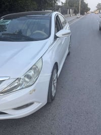 مصبوغه حزام مديل (2013)السعر الرقم 07807310182