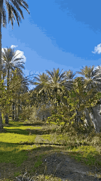 سلام عليكم
***********
للبيع 2000 متر طابو زراعي عقد 25 
المكان كربلاء المقدسه شارع مطبخ العتبه شارع بغداد كربلاء عامود 52 تبعد عن شارع بغداد 1500 متر تقريبن
