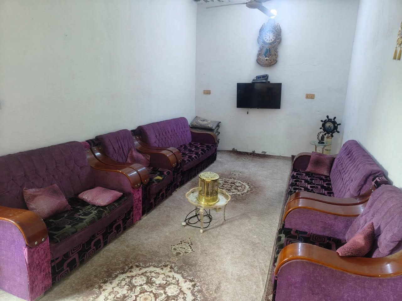 تخم قنفات للبيع مكلف بل نشر***********
