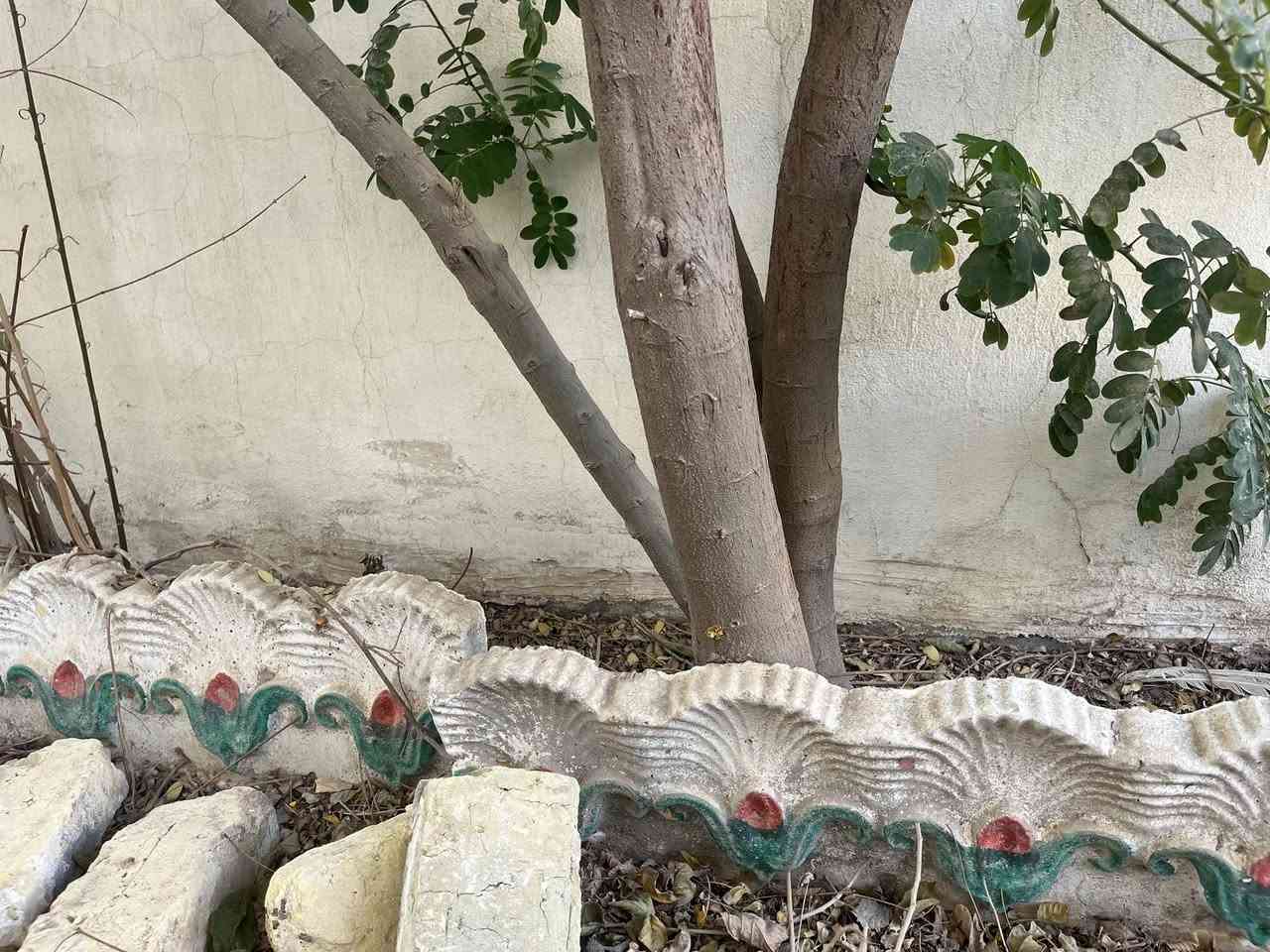 ١٢متر للبيع


**إذا كنت صاحب هذا الإعلان وتريد حذفه لأي سبب، رجاءا أرسل رسالة إلى الدعم الفني**