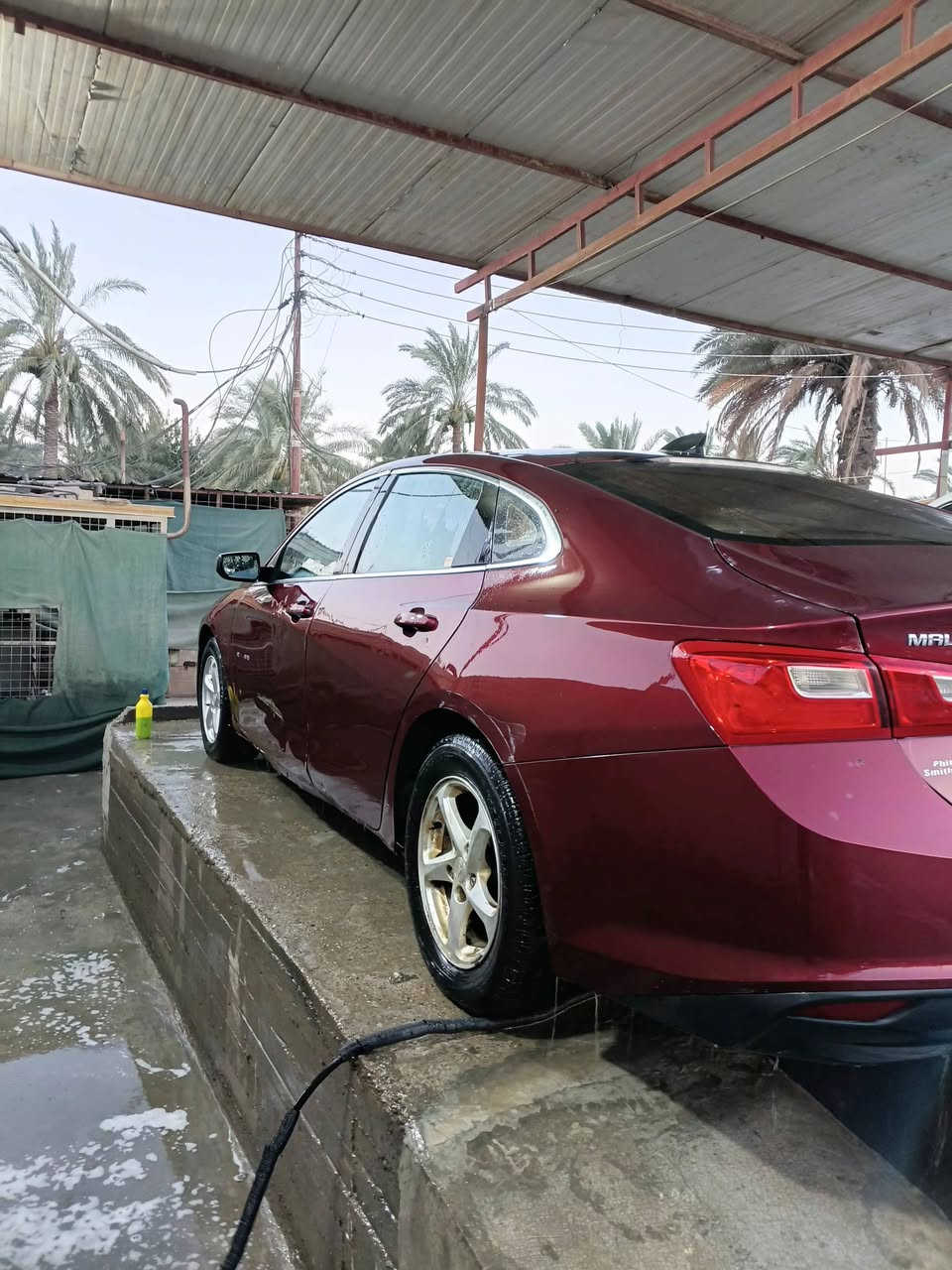 ماليبو ١٦  سعر ٦٥  او مراوس بنفس سعرها مكينة ١٥٠٠ تيربو كير AT المرغوب حادثها جاملغ خلفي  ٦ بصمات تشغيل و٤ بيبان وصندوك  جاهزة من كير محرك كهربائيات  بس تحتاج بولش وكمبريسر راعيها بمنطقتي تحويل مباشر. مكاني بغداد حي اور 
*********** واتساب  كملت نواقصها بقة بس التبريد
