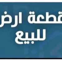 الجزيرة جهة الهيكل • ٢٥٠م • ظهر شارع ٣٠